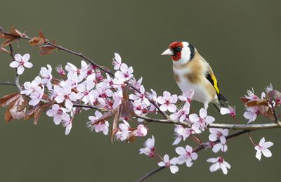 photo by Oliver Smart